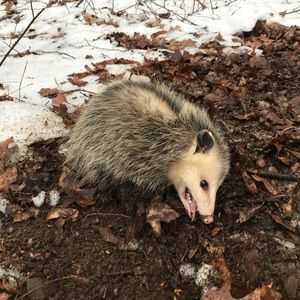 Meet your Posher, Matthew